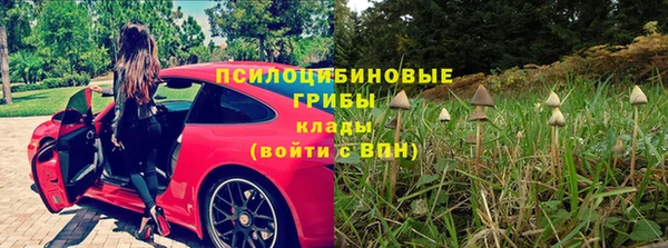 хмурый Армянск