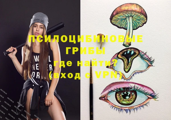 хмурый Армянск