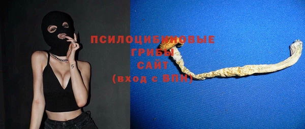 прущий лед Алексин