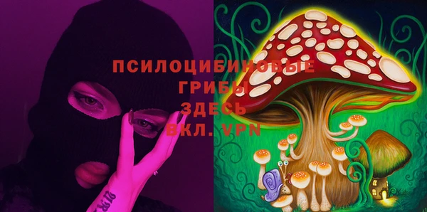 прущий лед Алексин