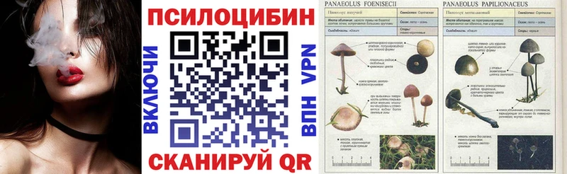 Псилоцибиновые грибы MAGIC MUSHROOMS  закладки  Междуреченск 